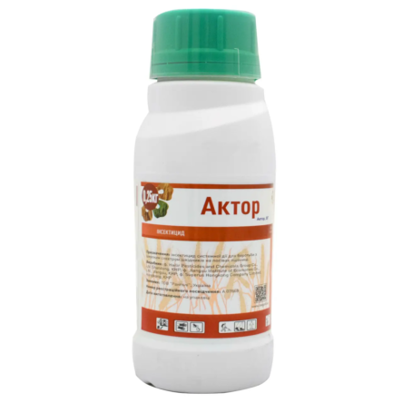 Актор (Rangoli)