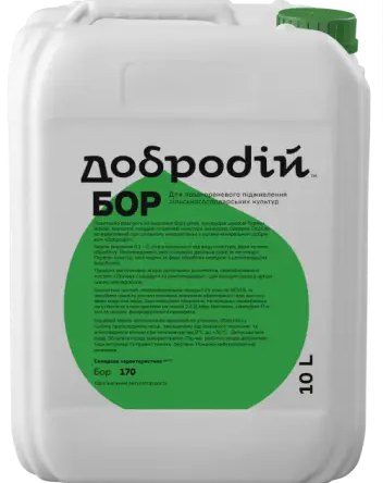 Бор (Добродій)