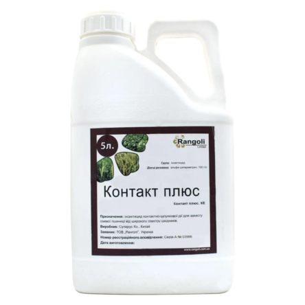 Контакт-плюс (Rangoli)